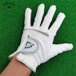 Callaway 골프 3종 남성 골프장갑